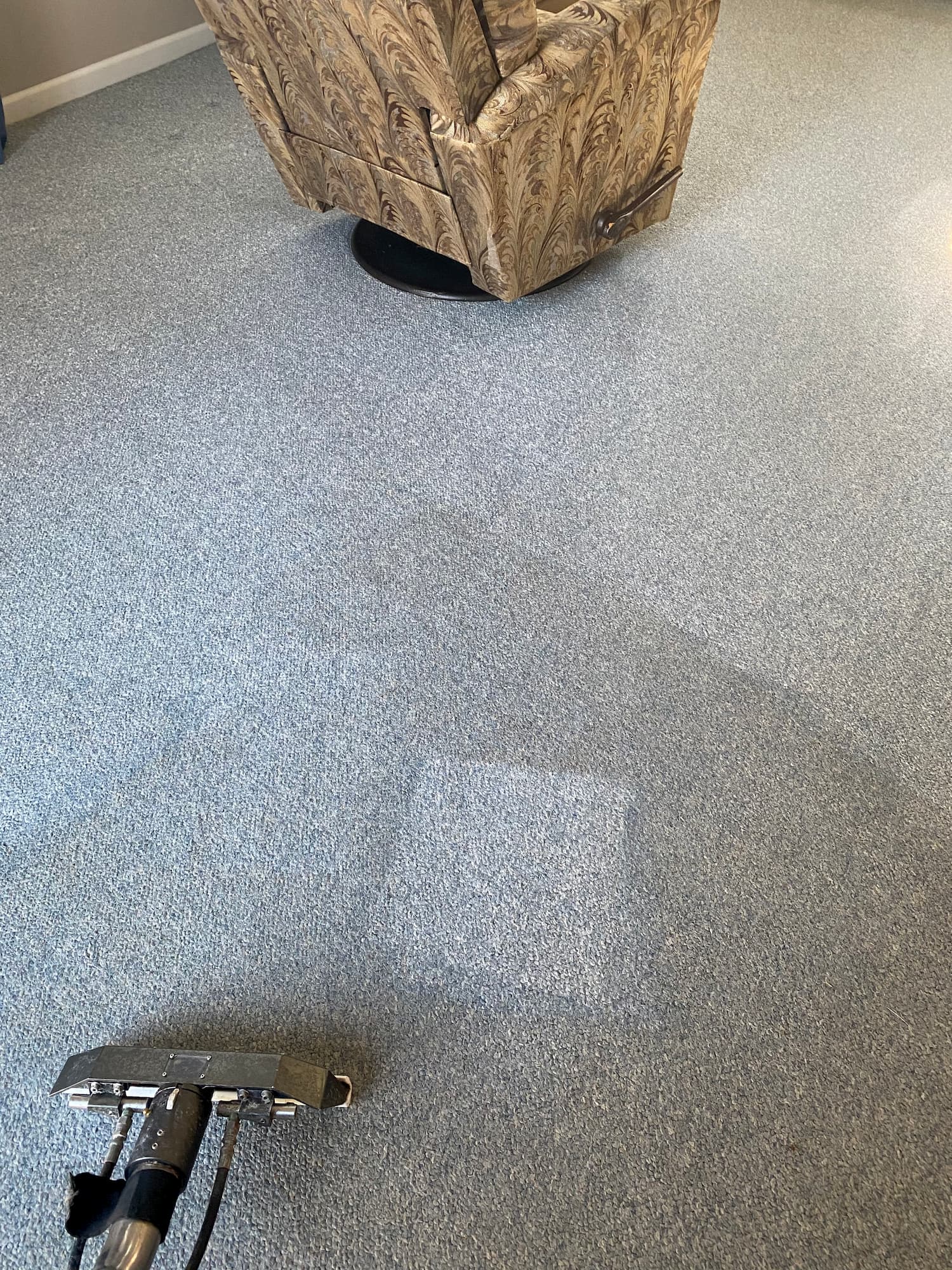 Berber carpet cleaning baden pa