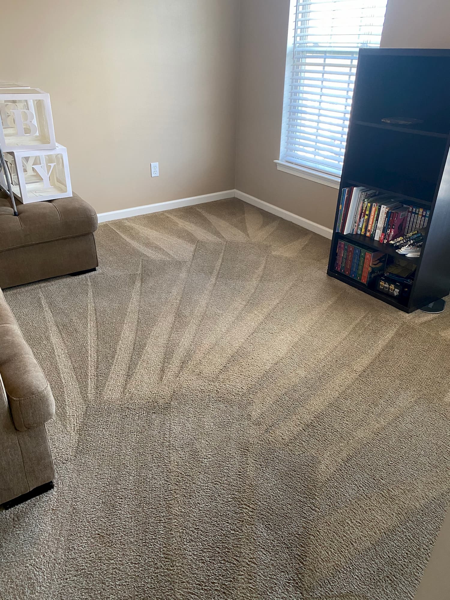 Organic carpet cleaning darlene dr corapolis pa