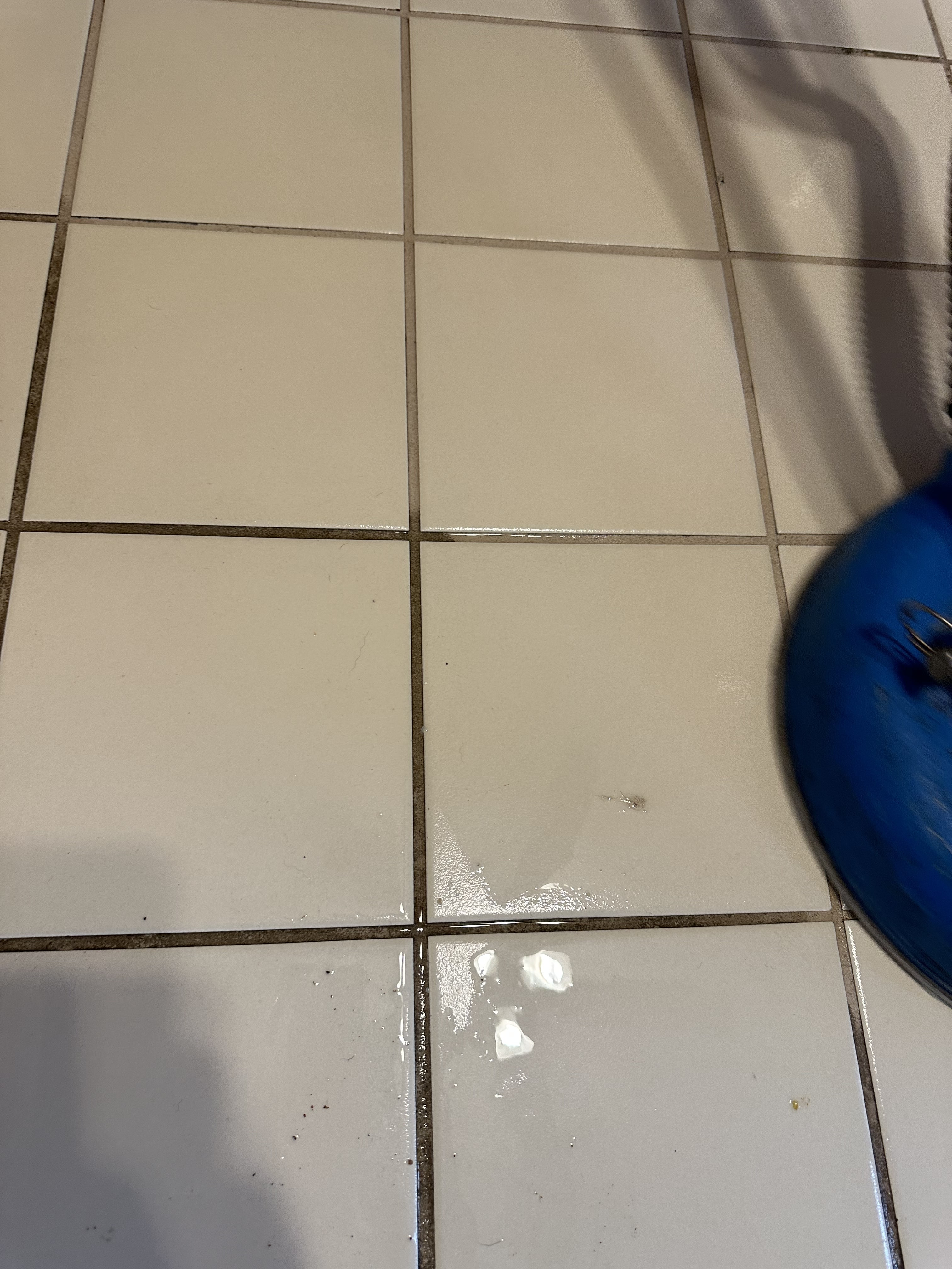 Tile and grout cleaning and sealing in Pittsburgh-Wexford, PA