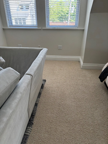 Pittsburgh allergies carpets cleaning frequency guide