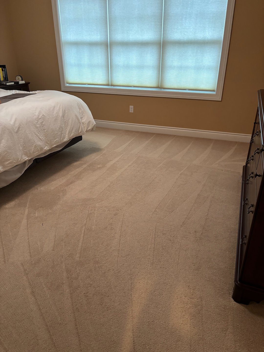 Eco King: #1 for Organic Carpet Cleaning in Bridgeville, PA & Surrounding Areas