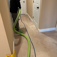 Eco-King-1-for-Organic-Carpet-Cleaning-in-Bridgeville-PA-Surrounding-Areas 1