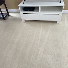 Organic Carpet Cleaning in Canonsburg, PA: A Safe and Eco-Friendly Solution