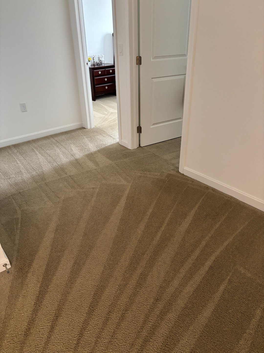 Organic Carpet Cleaning in Bethel Park, PA, and the South Hills Area