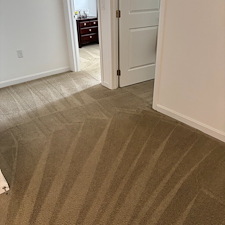 Organic Carpet Cleaning in Bethel Park, PA, and the South Hills Area