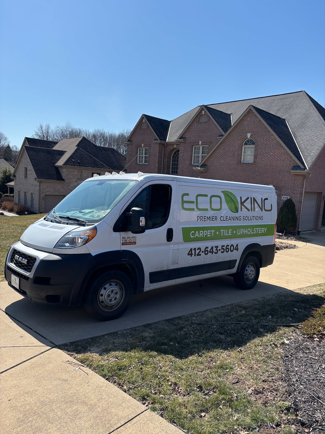 Organic Carpet Cleaning in Wexford, PA: A Safer, Healthier Clean for Your Home or Business