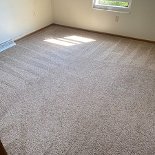 Organic-Carpet-Cleaning-in-Wexford-PA-A-Safer-Healthier-Clean-for-Your-Home-or-Business 2