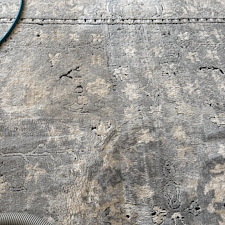 Organic-Carpet-Cleaning-in-Wexford-PA-A-Safer-Healthier-Clean-for-Your-Home-or-Business 3