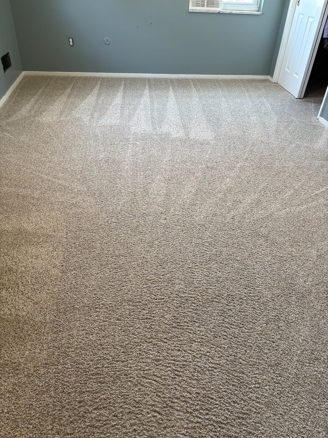 Organic Carpet Cleaning in Bethel Park & Upper St. Clair, PA – A Safer, Healthier Clean for Your Home