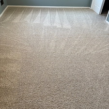 Organic Carpet Cleaning in Bethel Park & Upper St. Clair, PA – A Safer, Healthier Clean for Your Home