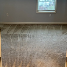Organic Carpet Cleaning Pittsburgh PA | Steam & Low Moisture